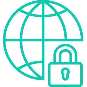 Network & Infrastructure Security